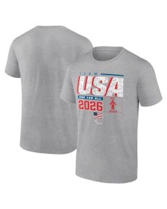 Men's Team USA Gray 2026 Winter Paralympics Pic-O-Gram T-Shirt