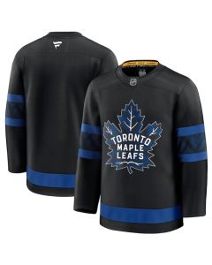 Men's Toronto Maple Leafs Blank Black 2024-25 Alternate Stitched Hockey Jersey