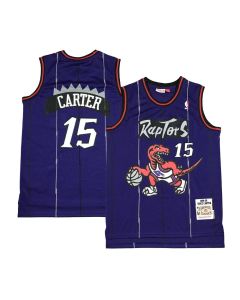 Men's Toronto Raptors #15 Vince Carter Purple Stitched Basketball Jersey (Purple)