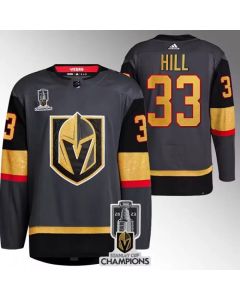 Men's Vegas Golden Knights #33 Adin Hill Grey 2023 Stanley Cup Champions Stitched Jersey