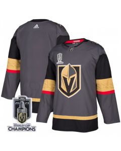 Men's Vegas Golden Knights Blank Gray 2023 Stanley Cup Champions Stitched Jersey