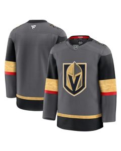 Men's Vegas Golden Knights Blank Grey 2024-25 Alternate Stitched Hockey Jersey
