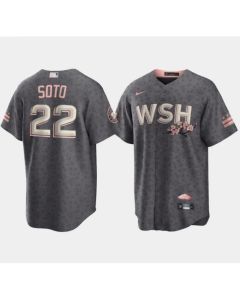 Men's Washington Nationals #22 Juan Soto 2022 Grey City Connect Cherry Blossom Cool Base Stitched Jersey