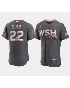 Men's Washington Nationals #22 Juan Soto 2022 Grey City Connect Cherry Blossom Flex Base Stitched MLB Jersey