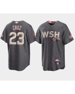 Men's Washington Nationals #23 Nelson Cruz 2022 Grey City Connect Cherry Blossom Cool Base Stitched Jersey