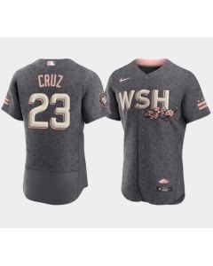 Men's Washington Nationals #23 Nelson Cruz 2022 Grey City Connect Cherry Blossom Flex Base Stitched MLB Jersey