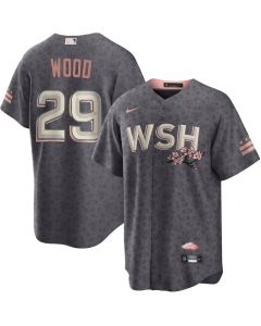 Men's Washington Nationals #29 James Wood Gray Alternate Limited Player Jersey (Gray)