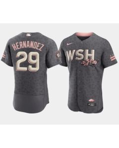 Men's Washington Nationals #29 Yadiel Hernandez 2022 Grey City Connect Cherry Blossom Flex Base Stitched MLB Jersey