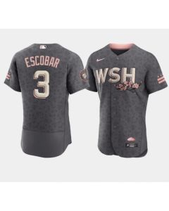 Men's Washington Nationals #3 Alcides Escobar 2022 Grey City Connect Cherry Blossom Flex Base Stitched MLB Jersey