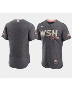 Men's Washington Nationals Blank 2022 Grey City Connect Cherry Blossom Flex Base Stitched MLB Jersey