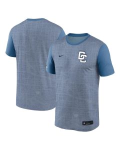 Men's Washington Nationals Gray 2025 City Connect Authentic Collection Velocity Performance T-Shirt (Gray)