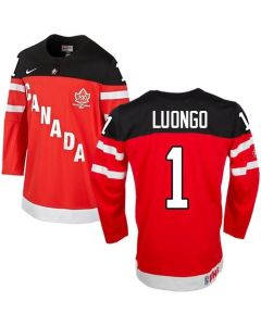 Olympic CA. #1 Roberto Luongo Red 100th Anniversary Stitched NHL Jersey