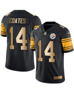 Steelers #14 Sammie Coates Black Men's Stitched NFL Limited Gold Rush Jersey