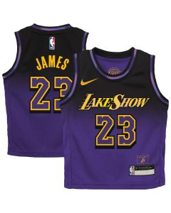 Toddler Los Angeles Lakers #23 LeBron James Purple 2024/25 Swingman City Edition Player Jersey