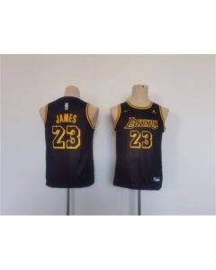 Youth Los Angeles Lakers #23 LeBron James Black Stitched Basketball Jersey (Black)