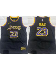 Youth Los Angeles Lakers #23 LeBron James Black Stitched Basketball Jersey