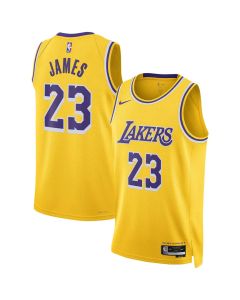 Youth Los Angeles Lakers #23 LeBron James Gold Icon Edition Swingman Jersey