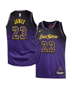 Youth Los Angeles Lakers #23 LeBron James Purple 2024/25 Swingman City Edition Player Jersey (Purple)
