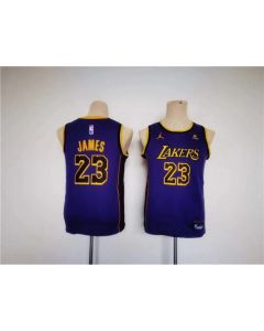 Youth Los Angeles Lakers #23 LeBron James Purple Stitched Basketball Jersey
