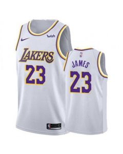 Youth Los Angeles Lakers #23 LeBron James White Stitched NBA Jersey