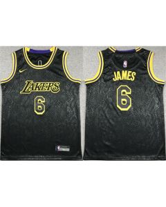 Youth Los Angeles Lakers #6 LeBron James Black Stitched Basketball Jersey (Black)