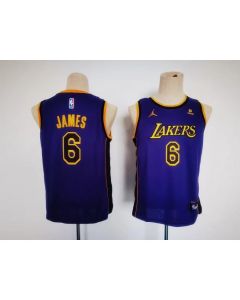 Youth Los Angeles Lakers #6 LeBron James Purple Stitched Basketball Jersey
