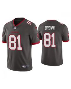 Youth Tampa Bay Buccaneers #81 Antonio Brown Grey Vapor Untouchable Limited Stitched Jersey