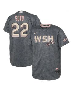 Youth Washington Nationals #22 Juan Soto 2022 Grey City Connect Cherry Blossom Stitched Baseball Jersey