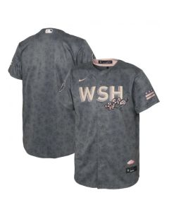 Youth Washington Nationals Blank 2022 Grey City Connect Cherry Blossom Stitched Baseball Jersey