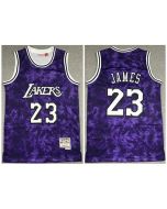 Men's Los Angeles Lakers #23 LeBron James Purple Stitched Jersey
