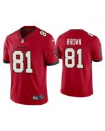 Youth Tampa Bay Buccaneers #81 Antonio Brown Red Vapor Untouchable Limited Stitched Jersey