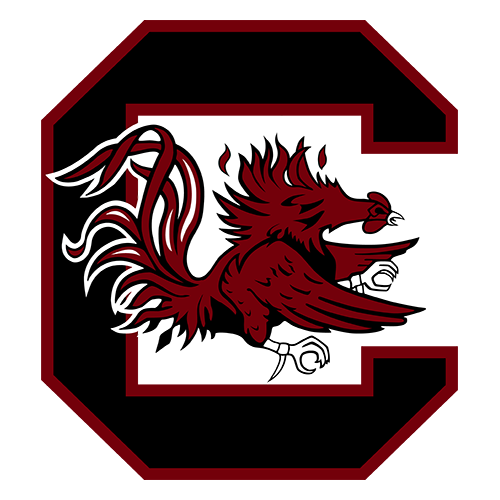 South Carolina Fighting Gamecocks